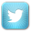Twitter Logo